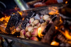 varken-spit-bbq-spit-pan-003