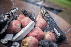 varken-spit-bbq-spit-pan-007