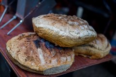 varken-spit-bbq-spit-pan-025