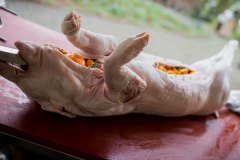 varken-spit-bbq-spit-pan-036