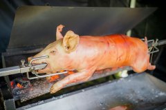 varken-spit-bbq-spit-pan-041