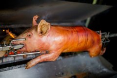 varken-spit-bbq-spit-pan-043