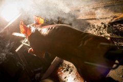 varken-spit-bbq-spit-pan-045