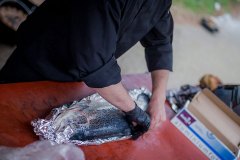 varken-spit-bbq-spit-pan-048