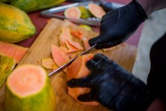 varken-spit-bbq-spit-pan-076