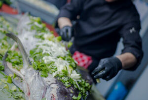 vis bereiden catering